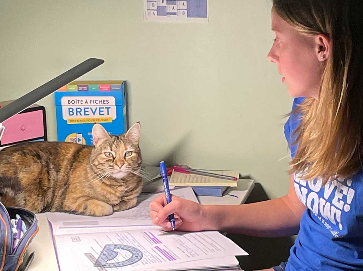 helping with homework